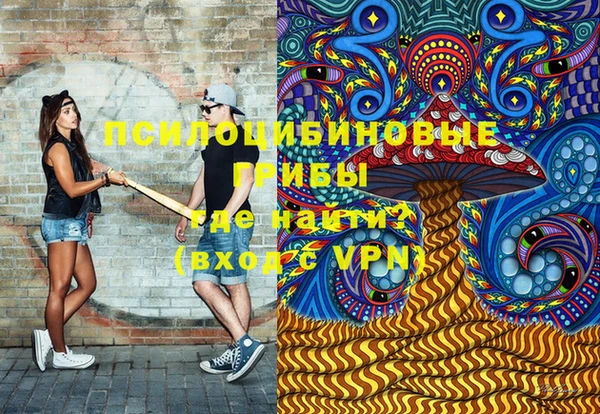 дживик Гусев