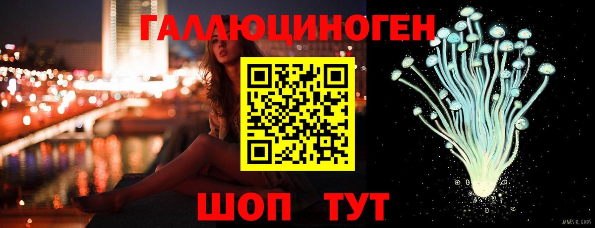 Дедовск  Псилоцибиновые грибы Psilocybe  Вход с VPN 