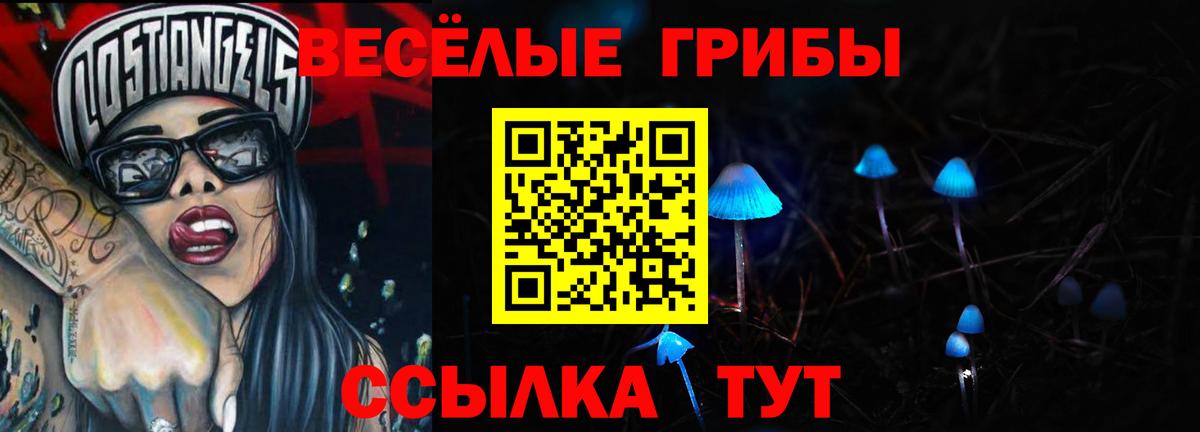 Псилоцибиновые грибы мухоморы  купить закладку  Дедовск 