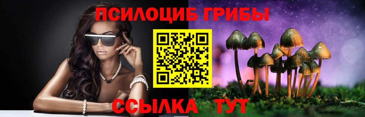 Галлюциногенные грибы GOLDEN TEACHER Дедовск